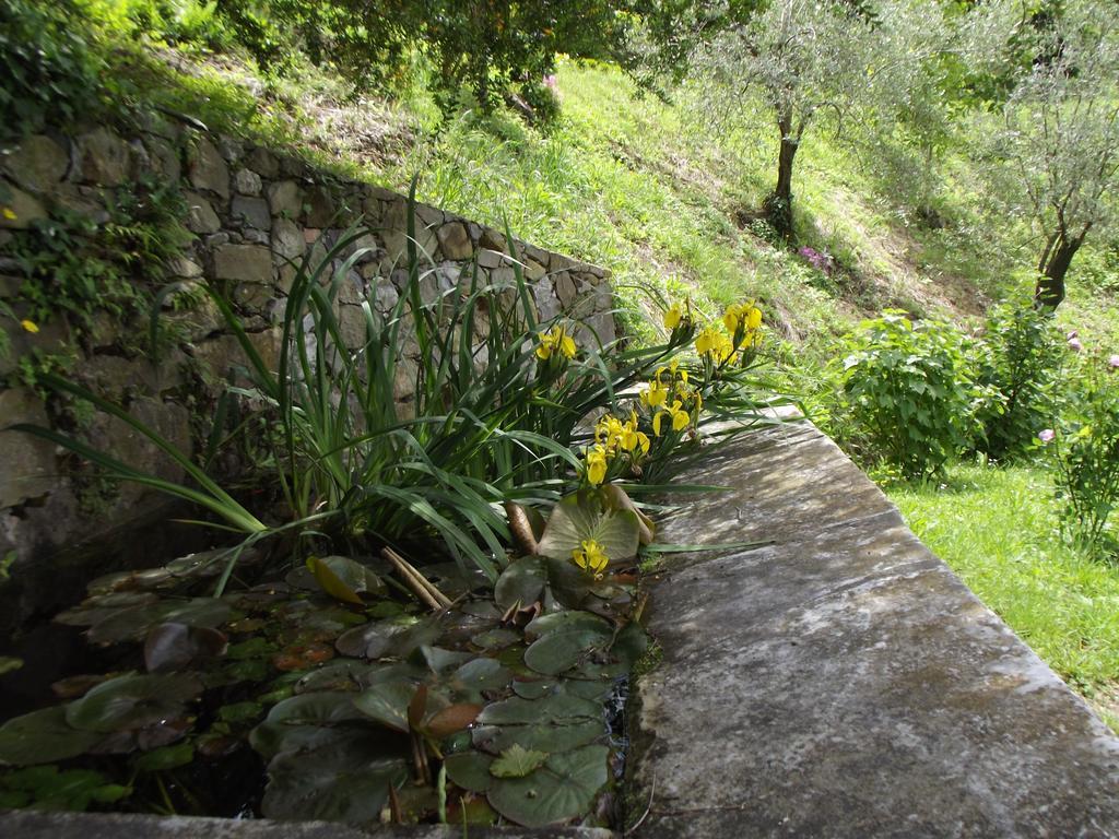 Agriturismo Brasino Fosdinovo Værelse billede